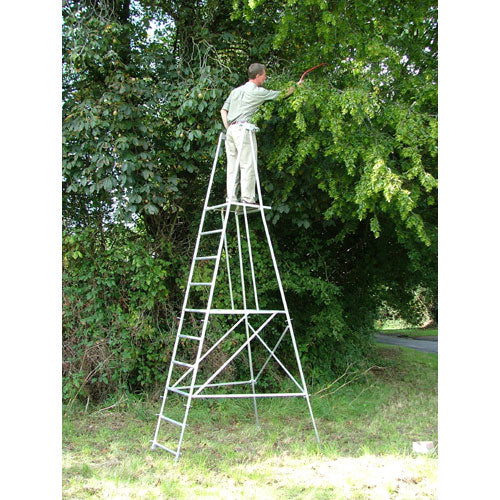 hedgemaster-bush