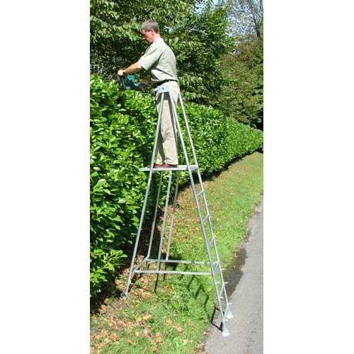 hedgemaster-bush