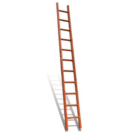 Timber Pole Ladders