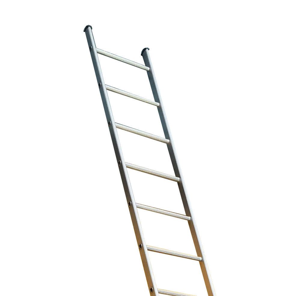 Single Section Ladder - 10 rung / 2.5m