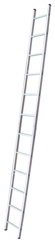 Surveyors Ladders
