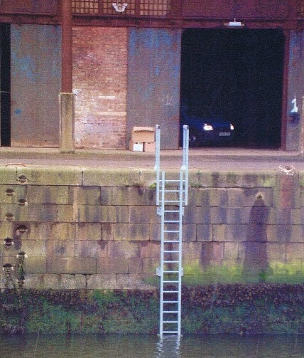 Fibreglass GRP Vertical Access Ladder with Walkthrough