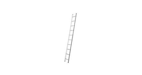 Single Section & Pole Ladders