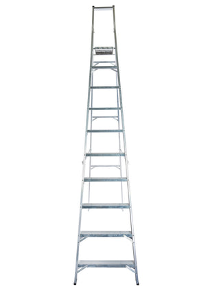 Lyte NESPM10 Platform Step Ladder