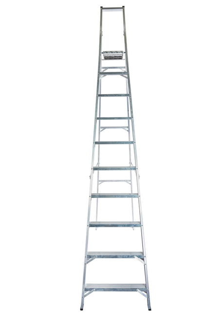 Lyte NESPM10 Platform Step Ladder