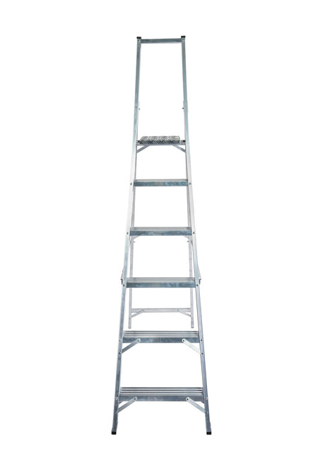 Lyte NESPM6 Platform Step Ladder