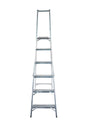 Lyte NESPM6 Platform Step Ladder