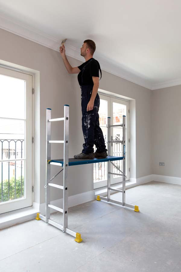 Werner Pro Ladder & Deck System