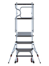 Alphadeck Podium Platform Ladder - Back View