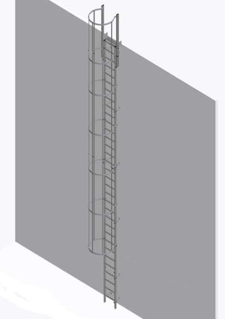 Krause Steel Vertical Ladder With Hoops & Roof Access