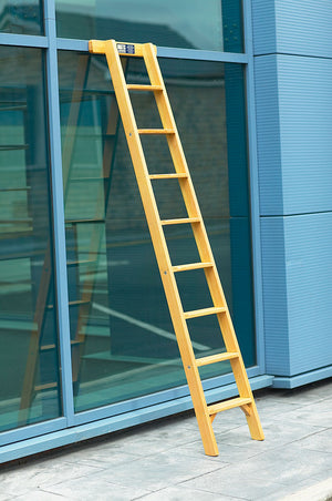 Timber Shelf Ladder - 2.97 m